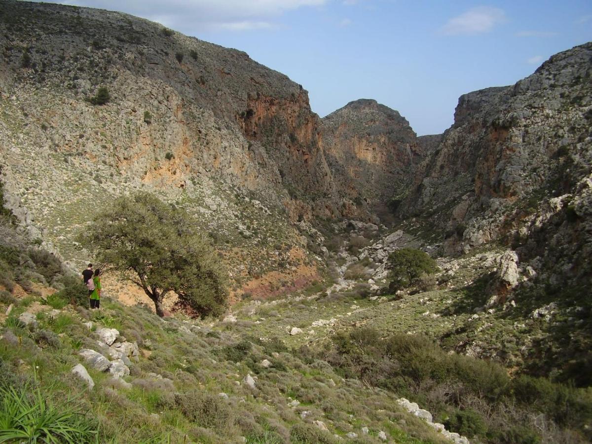 דירות סיטייה Carissa House In Crete מראה חיצוני תמונה