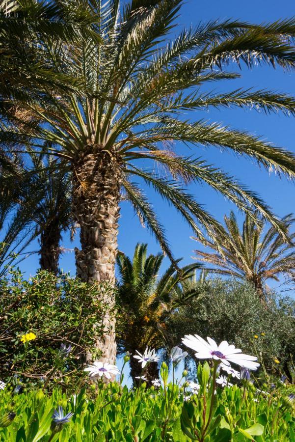 דירות סיטייה Carissa House In Crete מראה חיצוני תמונה